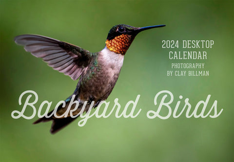 2024 Backyard Birds calendar