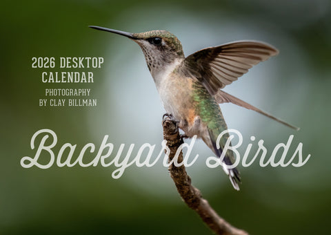 2026 Backyard Birds PLUS World Birds 2-in-1 calendar