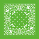 "Oklamerica" Bandana