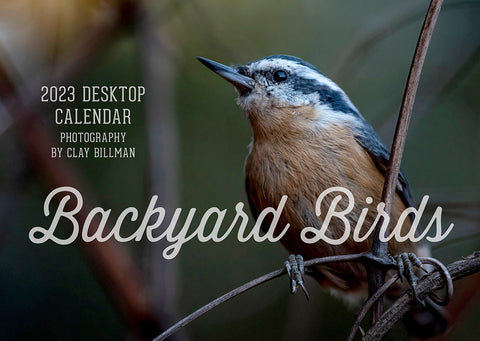 2023 Backyard Birds calendar