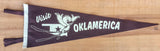 "Visit Oklamerica" retro felt pennant